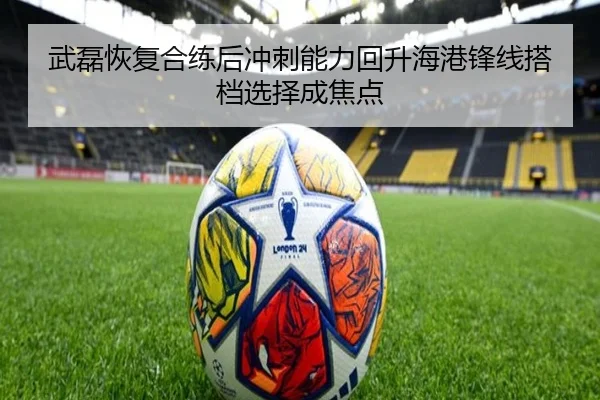 武磊恢复合练后冲刺能力回升海港锋线搭档选择成焦点